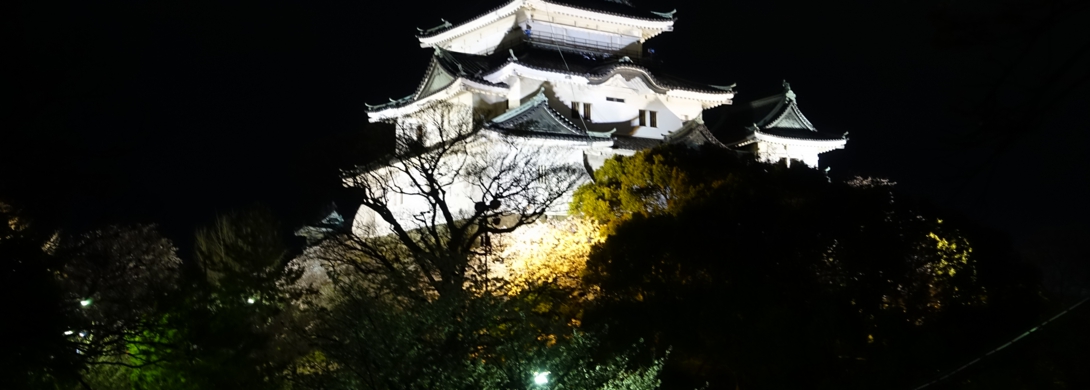 dsc01721.jpg